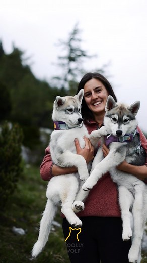 We are here to change the way dog gear is seen.  We believe it has become more vital than ever to make sustainable choices for our furry family members as well. ​ Inspired by the Nordic wilderness and it’s demands, we are committed to create the most durable, beautiful and sustainable dog gear by using recycled materials. ♻️ | Woolly Wolf | Facebook