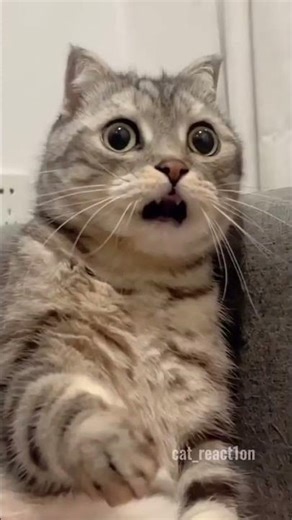 OUCH Moments Compilation 💥😱📍📌 #viralreel #viralvideo #viralcontent #viralcompilation #viral