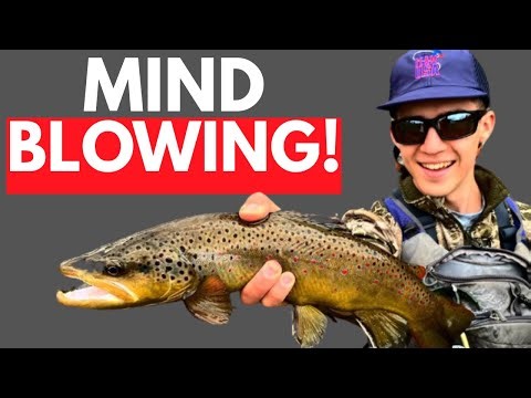 This Spanish Bullet Fly Pattern Will BLOW YOUR MIND!