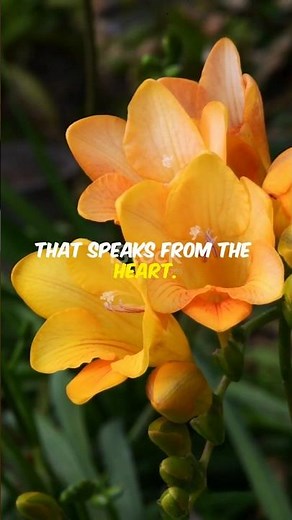 Freesia: The Scent of Trust and New Beginnings