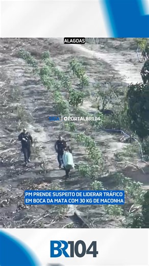 Portal BR104 on Instagram: "Uma operação da Polícia Civil resultou na prisão de um homem suspeito de liderar o tráfico de drogas e na apreensão de cerca de 30 kg de maconha nesta quarta-feira (11), na cidade do Pilar, em Alagoas. Segundo as investigações, o suspeito teria envolvimento em pelo menos três homicídios. De acordo com o delegado Flávio Dutra, os entorpecentes foram encontrados em um local próximo à residência do suspeito, dentro de uma sacola plástica e já preparados para comercializa