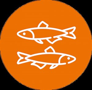 Aquaculture - Lycée professionnel Olivier Guichard - Guérande