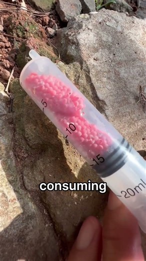 CRUSH Them Immediately 🤯