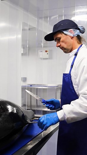 363 reactions · 20 shares | Did you know that Bluefin tuna are right...