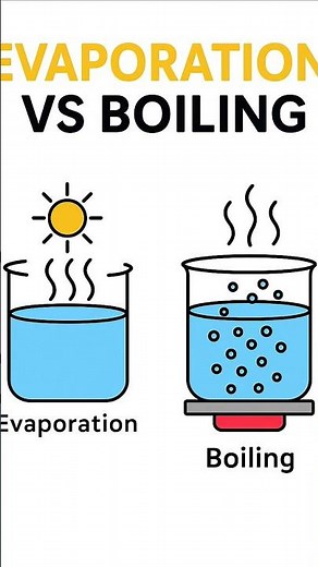 Liquid to Gas? 💦🔥 Boiling vs Evaporation in 1 Minute#ScienceMadeEasy#EvaporationVsBoiling#Sciencefun