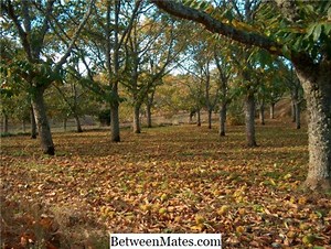 Diferença entre o Gmail e o Gmail Motion Diferença entre - Outras 2026