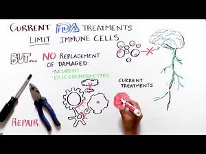 Video illustrates potential path to stem cell repair for multiple sclerosis