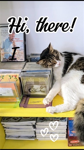 This cat has officially claimed the CD stack as prime real estate 🏡💿 No showings. No negotiations. Definitely not moving until closing… or snack time 😴 Proof that location, comfort, and vibes matter — even in the cat market 🐱📍 🏡Looking for your prime location to call home? DM me. #funnymemes #weichertagent #HomeIsWhereTheCatIs #RealEstateLife #WorkFromHome #OfficeMascot #PurrfectListing #catlovers | Soula Demergis