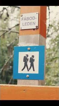 Hasselblad 500CM ASMR 🌧️ Rainy Forest Sounds (Analog Photography)