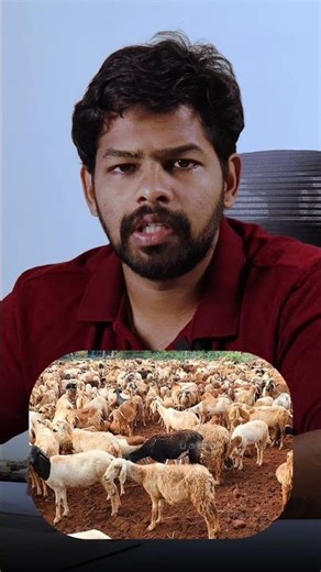 Aatu Kidai Agriculture Tips - more yield #agrifuture #tamil #facts #shorts