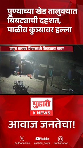 Pudhari News on Instagram: "पुण्यात खेड तालुक्यात बिबट्याची दहशत; पाळीव कुत्र्यावर हल्ला . . . . . . #pune #khed #maharashtra #pudharinews #marathinews #bibtya"