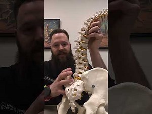 Medial Branch Blocks for Back Pain - What is it and why was this ordered?