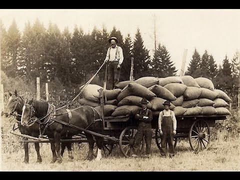 Old Horse Drawn Wagon Scenes