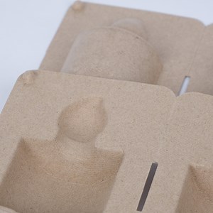 [Hot Item] Custom Recycled Paper Pulp Packaging Biodegradable Paper Molded Fiber Tray Packaging Box