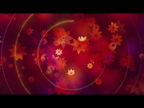 Neluni (Theme Song) | Led Wall Graphics | Traditional Fusion