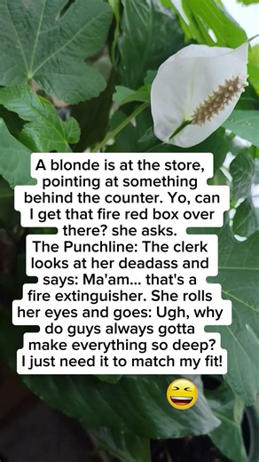 Shе bоught а WНАТ?! 😂#shorts #funny #jokeoftheday #humor #comedy #joke #hilarious