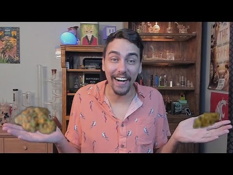 Big Buds vs Small Buds: What's Better?