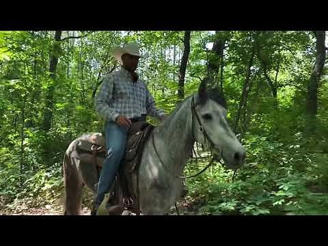 Part 2 : Trail Training- How to have a successful first trail ride