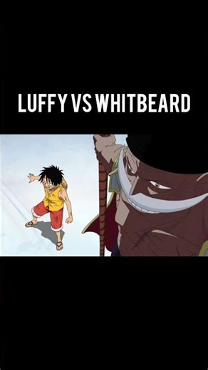 luffy vs white beread fight #onepiece #anime #viralshorts