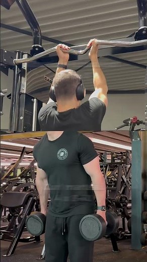 Entraînement - Dos/Biceps