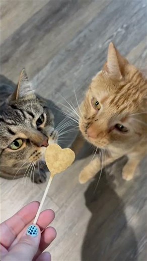 Customer service is terrible in this house.