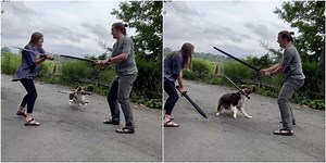Dog Sees Her Parents Sword Fighting And Demands To Play, Too