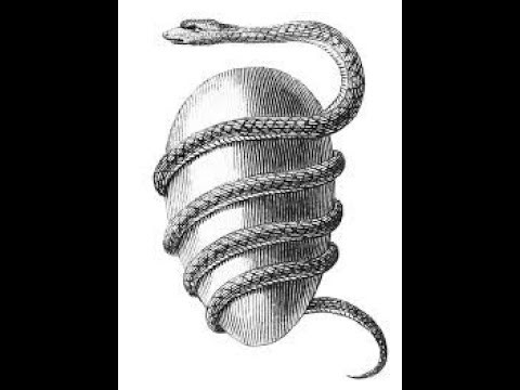 Qi Deviations & Kundalini Psychosis: Symptoms & Treatment