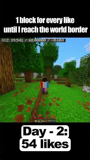 Can this Short actually get me to the world border ?#minecraft | Day 2 #gaming #challenge