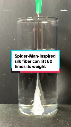 Web-slinging might be closer than we think. 🕸️ Scientists at Tufts University have developed a Spider-Man-inspired tech that shoots liquid silk, instantly hardening into a strong, sticky fiber capable of lifting objects 80 times its weight. Made from silk moth cocoons, this web-like material forms when a silk solution, combined with specific additives, is extruded and exposed to air. #spiderman #tech #silk #fiber #science #technology #innovation #comics #news