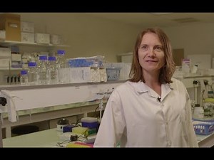 Un biomatériau pour stimuler la formation osseuse