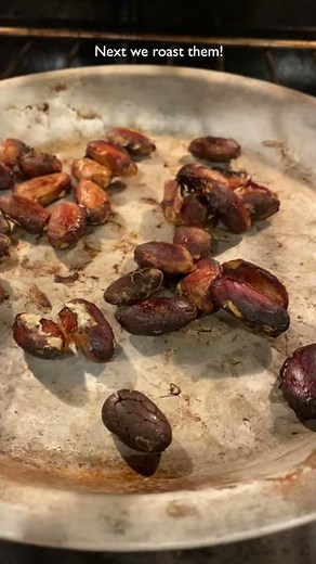 Roasted COCOA Nibs #shorts