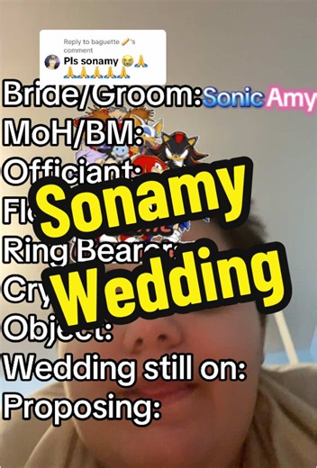 Sonamy Wedding Moments: A Sonic Adventure