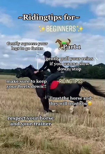 Essential Riding Tips for Beginners: Horse Riding Techniques & Tricks