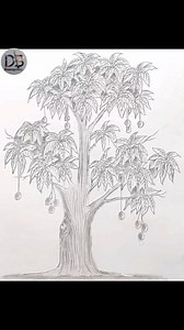 149K views · 2.9K reactions | Simple Drawing | Mango Tree #drawing #pencilsketch | Drawing Book | Facebook