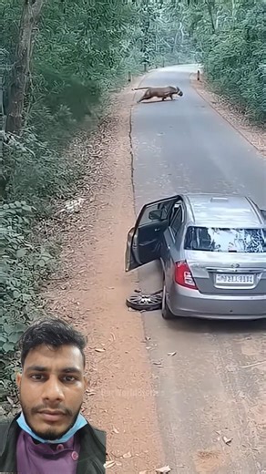 दिमाग का सही उपयोग 😲 #wildlife #animals #leopard #nature #automobile #trending #funny #shorts #viral