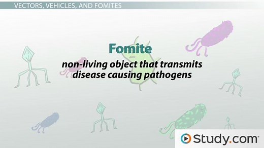 Disease Transmission | Methods, Routes & Examples