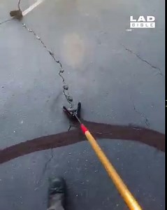 76M views · 1.9K reactions | This is one satisfying process  | LADbible | Facebook