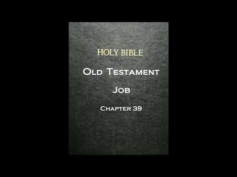 The Bible - The Old Testament : Job - Chapter 39