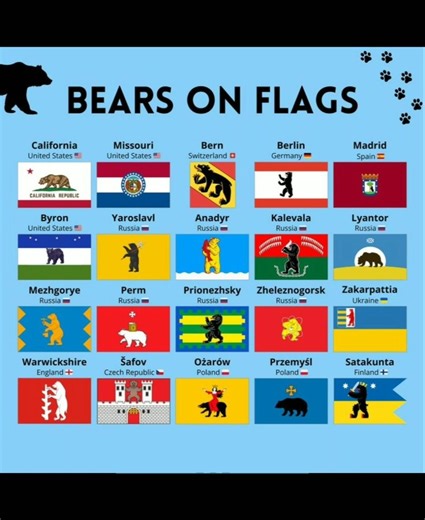 🐻 Bears on Flags Around the World 🌍