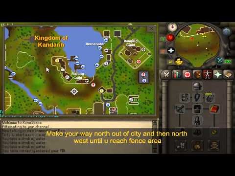 Shadow Dungeon Runescape
