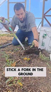 Eliminate Weeds Once and for All – This Strategy Actually Works