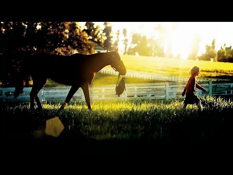 Dreamer: A broken racehorse and a young girl’s unyielding faith bring a family back together