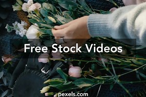 Forbidden Love Videos, Download The BEST Free 4k Stock Video Footage & Forbidden Love HD Video Clips