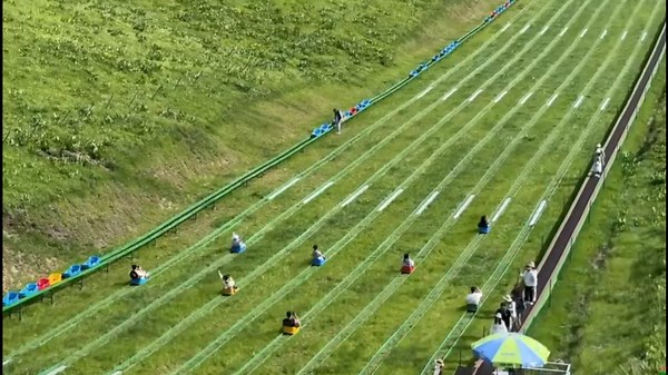 Grass Sledding