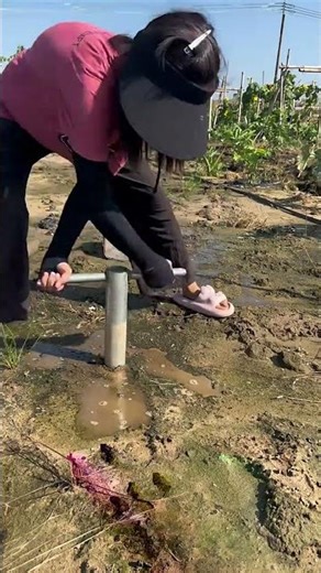 This method of digging holes and inserting large bamboo poles is labor-saving and sturdy #agtools