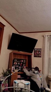 🌴 Saint James School of Medicine – Your Path to a Medical Career Starts Here 🌴 | Saint James School of Medicine