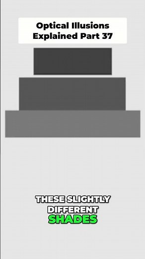 Understanding MAC Bands: Visual Contrast Explained