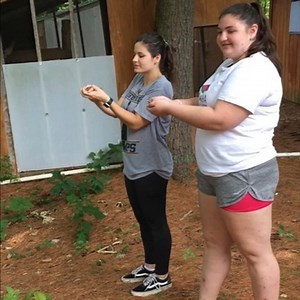 2.8K views · 174 reactions | Today we released 22 wild animals back...