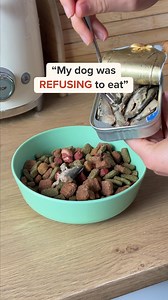 867K views · 998 reactions |  The secret to a happy pup 李  Fresh food with meal plans catered to your dog’s needs  Get 50% off your first box when you try The Farmer’s Dog!  Made from human-grade ingredients ✅ Developed by board-certified vets  Delivered to your door ready-to-serve | So Yummy | Facebook