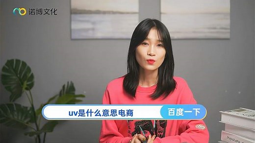 uv是什么意思电商